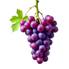 Fototapeta premium Vibrant Bunch of Purple Grapes with Leaf on White Background