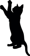 Black cat silhouette, cat silhouette jumping and standing, 