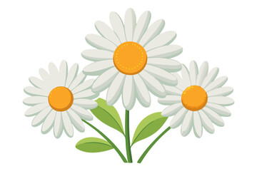Beautiful daisy flowers illustration, floral design element, white daisy, spring flower, summer bloom, nature art