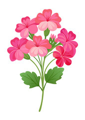 Beautiful pink geranium flower illustration floral design botanical art print home decor drawing