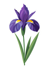 Beautiful purple iris flower illustration vector graphic design floral botanical art nature element isolated
