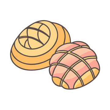Delicious concha bread mexican sweet bread pan dulce bakery pastry dessert food illustration vector
