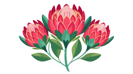 Fototapeta premium Protea flower illustration floral design botanical art print exotic bloom vibrant flora decor