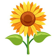 Illustration of a sunflower, yellow sunflower, sunflower vector, sunflower drawing, sunflower art, flower