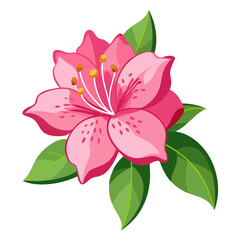 Beautiful pink azalea flower vector illustration with green leaves floral design for spring blossom