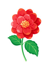 Beautiful red flower vector illustration floral design blossom garden flower petal bloom botanical art nature plant