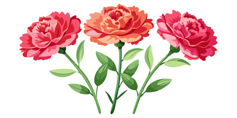 Obraz premium Watercolor floral flower botanical illustration carnation spring bloom blossom garden plant art