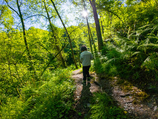 Obraz premium Child hiking on a sunny spring day in the aiako harria natural park