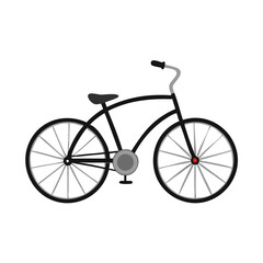 Bicycle: The Eco-Friendly Mode of Transport