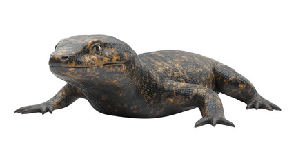 Naklejka premium Amphibian creature with detailed scales and naturalistic features ideal for wildlife nature