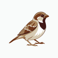 Obraz premium house sparrow bird silhouette vector