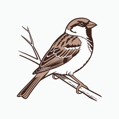 Obraz premium house sparrow bird silhouette vector