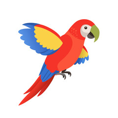 Parrot: The Colorful Birds of the Tropics