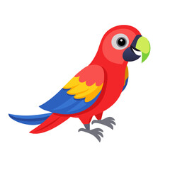 Parrot: The Colorful Birds of the Tropics