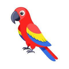 Parrot: The Colorful Birds of the Tropics