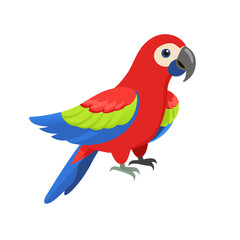 Parrot: The Colorful Birds of the Tropics