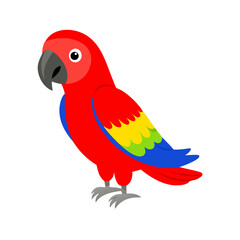 Parrot: The Colorful Birds of the Tropics