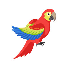 Parrot: The Colorful Birds of the Tropics
