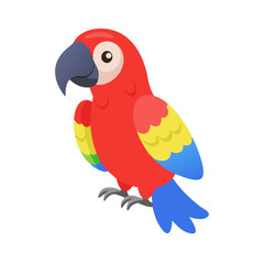 Parrot: The Colorful Birds of the Tropics