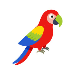 Parrot: The Colorful Birds of the Tropics