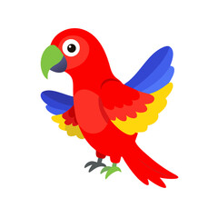 Parrot: The Colorful Birds of the Tropics