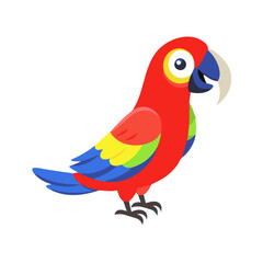 Parrot: The Colorful Birds of the Tropics