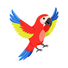 Parrot: The Colorful Birds of the Tropics