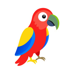 Parrot: The Colorful Birds of the Tropics