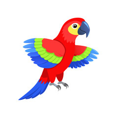 Parrot: The Colorful Birds of the Tropics