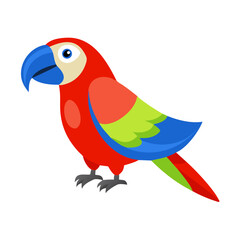 Parrot: The Colorful Birds of the Tropics