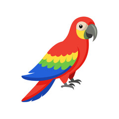 Parrot: The Colorful Birds of the Tropics