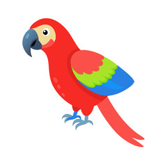 Parrot: The Colorful Birds of the Tropics