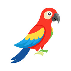 Parrot: The Colorful Birds of the Tropics