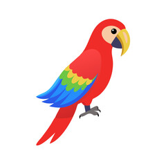 Parrot: The Colorful Birds of the Tropics