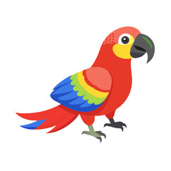 Parrot: The Colorful Birds of the Tropics