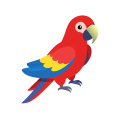 Parrot: The Colorful Birds of the Tropics