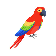 Parrot: The Colorful Birds of the Tropics