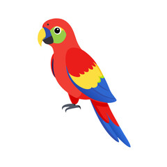 Parrot: The Colorful Birds of the Tropics