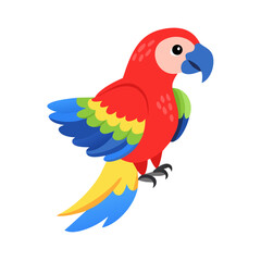 Parrot: The Colorful Birds of the Tropics