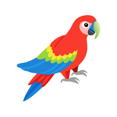 Parrot: The Colorful Birds of the Tropics