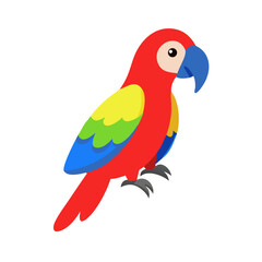 Parrot: The Colorful Birds of the Tropics