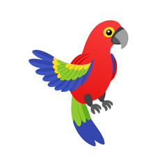 Parrot: The Colorful Birds of the Tropics