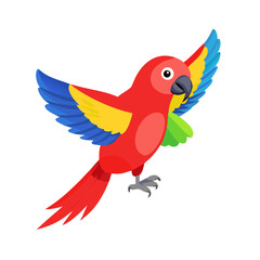 Parrot: The Colorful Birds of the Tropics