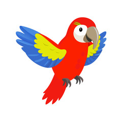 Parrot: The Colorful Birds of the Tropics
