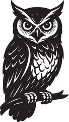owl on white background