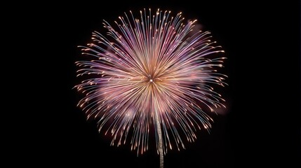 Colorful fireworks burst against night sky.