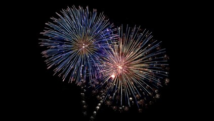 Vibrant fireworks burst against the night sky.