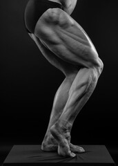 Fitness model