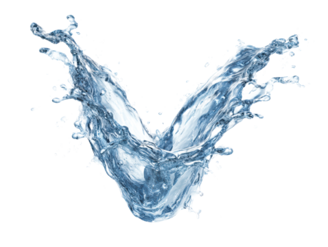 Front flash water tick frozen in mid‑air