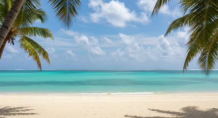 tropical beach with coconut palm trees